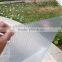 polycarbonate sun panel;uv blocking polycarbonate sheet