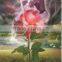 3d pictures with 4 images flip change effect of beautiful flowers