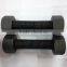 ASTM DIN933 Grade 8.8 Full Thread DIN931 Half Thread Carbon Steel Hex Bolt and Nut