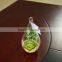 Hanging Glass Terrarium Necklace Decorative Succulent Plants Tropical Plants