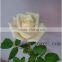 Wide Varieties Rose Cut White Rose Cut Diamond From Yunnan