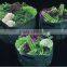 Garden plant vegetable grow bag