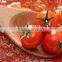Tomato paste with good quality for sale