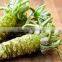 2016 Sushi seasoning horseradish with guaranteed quality