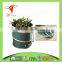 600D oxford Pop Up Collapsible Garden Bag&Pop up garden bag& collapsible leaf bag