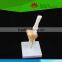 High quality Life-size Elbow joint with ligaments