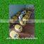 Best Price Fully Automatic CE Marked Automatic 15 Eggs Digital Egg Incubator for Sale