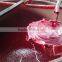 Full color flexographic and gravure plastic printing inks