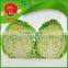 Grade A fresh green cabbage for sale