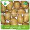 China supplier fresh potato buyers