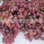 Fresh Grapes Crimson from egypt