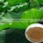 Lotus Leaf Extract 10:1 from GMP Certified Manufacturer