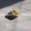Henan Dongfanglong oil rod nylon centralizer for oilfield