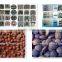 Pillow shape coal briquette making machine / charcoal briquette making machine / ball press machine