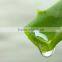 Aloe Vera Extract 10X- Food grade