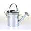 Metal Galvanised Steel Watering Can 9 Litre Garden Water Plants Green Cream Galvinised (Silver)