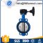 Worm gear butterfly valve D371X-16
