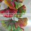 SJ070916 Colorful folium ginkgo leaf