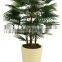 Hot sale 5ft high artificial mini fan palm tree