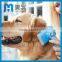 Paw Print Pet Product Hot Sale Grooming Brush