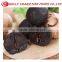 Organic Black Garlic Extract Pure Natural Black GarlicPowder