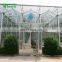 Tomato/Lettuce/Eggplant/Strawberry Hydroponic Glass Greenhouse