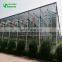 China High Quality Farming Mushroom Glass Greenhouse