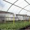 PE Tarpaulin Greenhouse Film Sun Block Shade Protection For Vegetable Growing