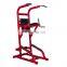 RHS42 Hammer Strength China Multi Functional Professional Workout Weight Fitness Commercial Gym Equipment Chin Up