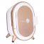 2022 newest digital skin scanner 3d Magic Mirror camera Skin Analyzer machine analysis with best price