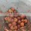 multifunctional fruits pulper,berries pulping machine fruit pulp beating machine mango pulp