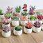 Top Fashion China Wholesale Small Size Artificial Plants With White Pot Gifts Potted Succulents For Desk Decoration