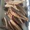 canned mackerel fillets
