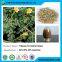 Tribulus Terrestris Extract