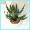 25cm high quality real touch artificial succulent plants