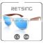 Popular Style Sunglass Wood Temple Sun glasses with Transparent Plastic Frame