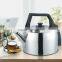 Jialian 4.1L Stainless Steel Electric Water Kettle