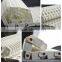 Vera ISO manufacturer plastic modular conveyor belt