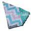 27 Colors Outdoor Used Chevron Pattern Warm Minky Cotton Car Seat Canopy