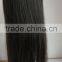 AAAAA front lace wigs for black women,beauty virgin brazilian hair lace wig,human hair wig