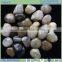Tumbled pebble/Tumbled river stone