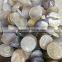 Natural Agate Geode Slices Wholesale Crystal Gemstones