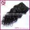 7A Grade 100% Virgin Body Wave Clip In Human Hair Extensions Wavy Eurasian Virgin Clip In Hair Extensions Human Hair Full Head
