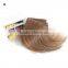10cm Classic Silky Straight Hair Weave Hairpiece