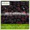 Fresh Freezing Type Organic Blackberry