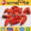 Hot goji berries price import goji berries