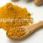 GMP Manufacturer Supply Natural Curcuma Longa Rhizome Extract Powder