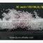 454g 40% purity high quality manufacture msg