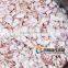 FC-315 useful shallot machine series garlic slicing machine