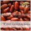 Organic High Quality British Red Kindey Beans,English Red